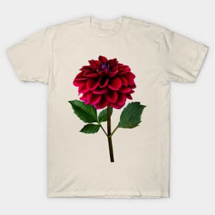 Red Dahlia in Sunshine T-Shirt